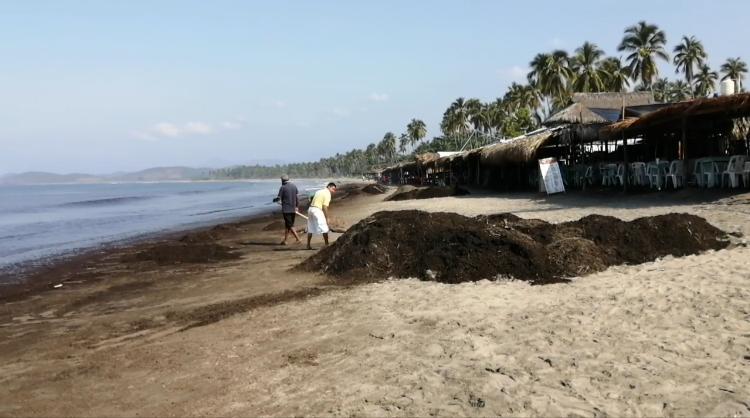 De nuevo sale basura orgánica en playa Linda, denuncian meseros