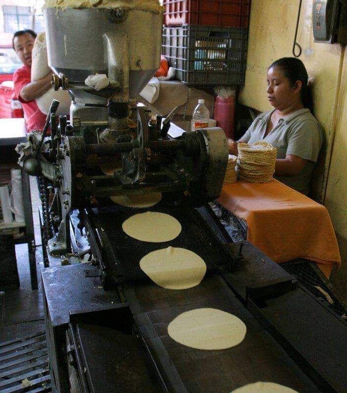 Hasta marzo podría darse un incremento al kilo de tortilla