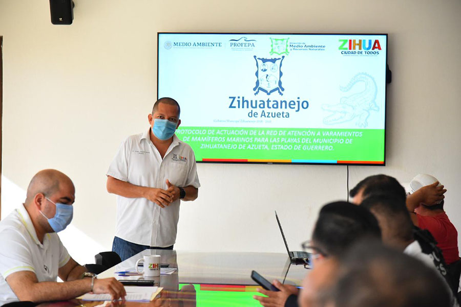 Gobierno de Zihuatanejo crea comité de protección a las ballenas