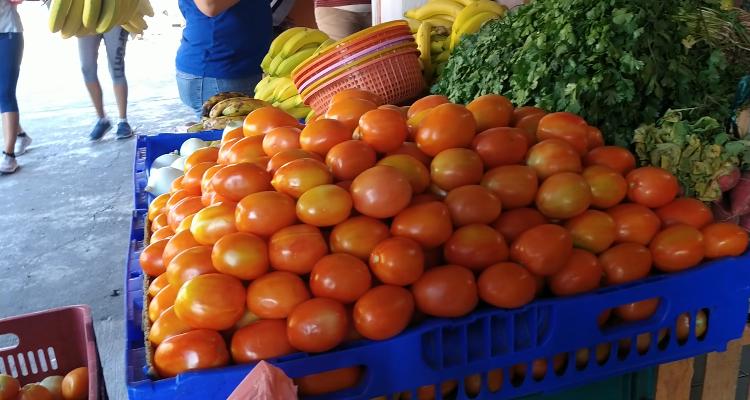 Frijol y jitomate productos que también presenta costos elevados