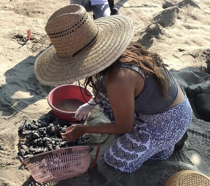 Se espera buena temporada turística de verano en destinos de playa de La Unión: CRT