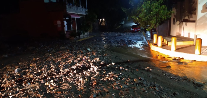 Lluvia de madrugada, provoca caída de árboles e inundaciones