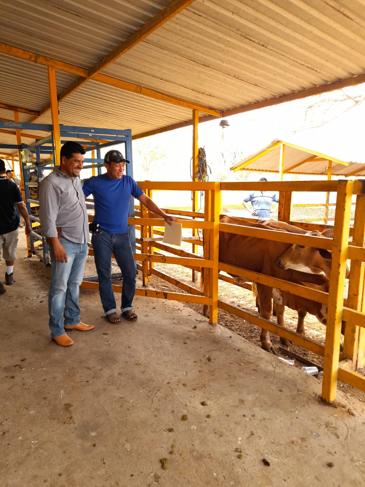 Presidente Crescencio Reyes entrega pies de cría para mejorar producción ganadera de La Unión