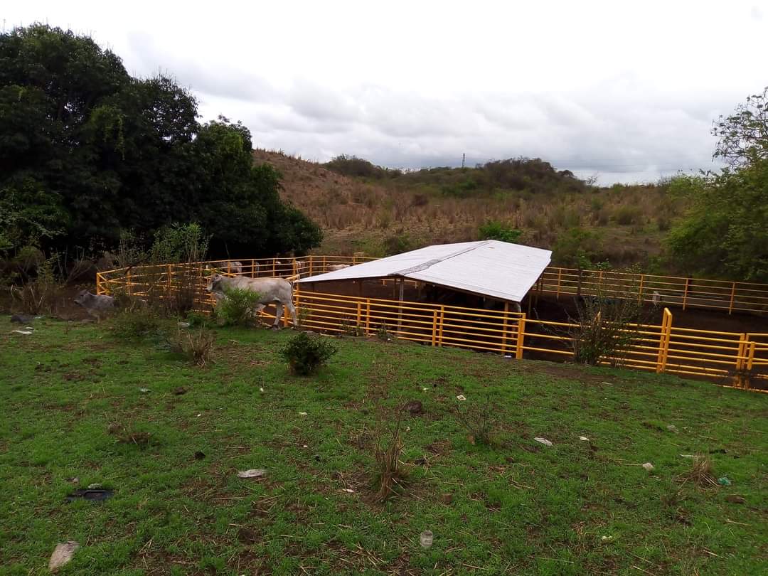 Gobierno de La Unión construye corral de manejo en Barranca de Marmolejo