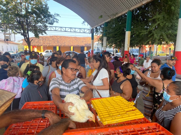 Gobierno Municipal entrega 600 pollos en esta navidad para familias de La Unión