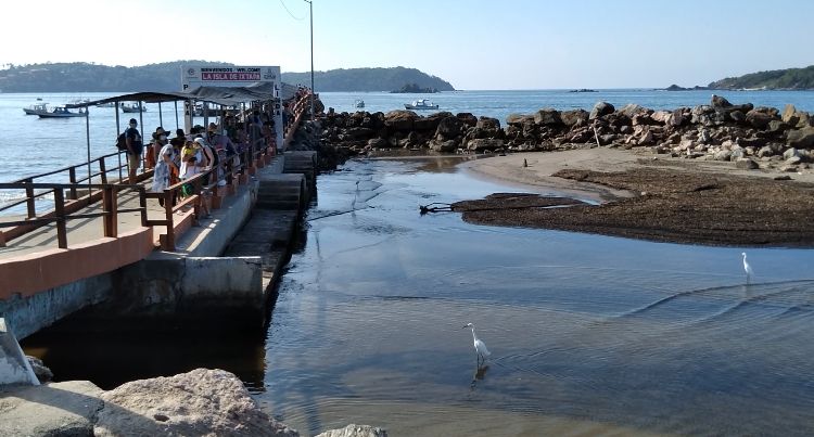 Al 70% de comensales restaurante en La Isla de Ixtapa