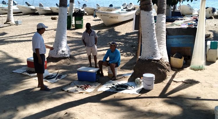 Pescadores también esperan Navidad y Año Nuevo para incrementar ventas