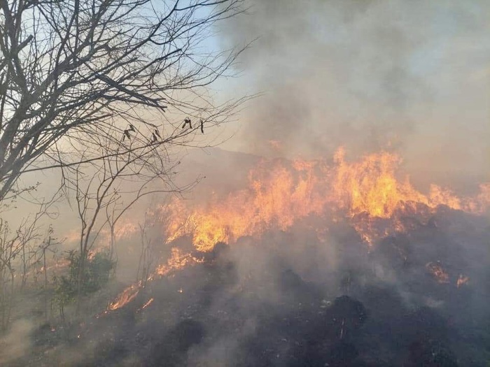 Incendio activo en Zihuatanejo cumple 24 horas, impacta 10  hectáreas