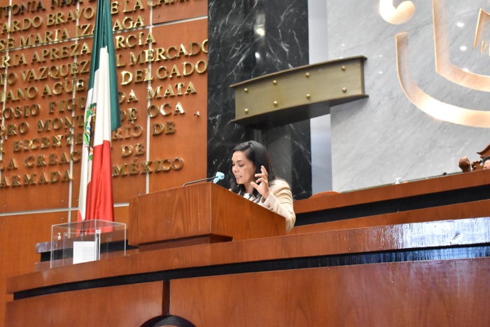 Llama a centrarse en Consulta a Pueblos Indigenas y Afremexicanos: BMM
