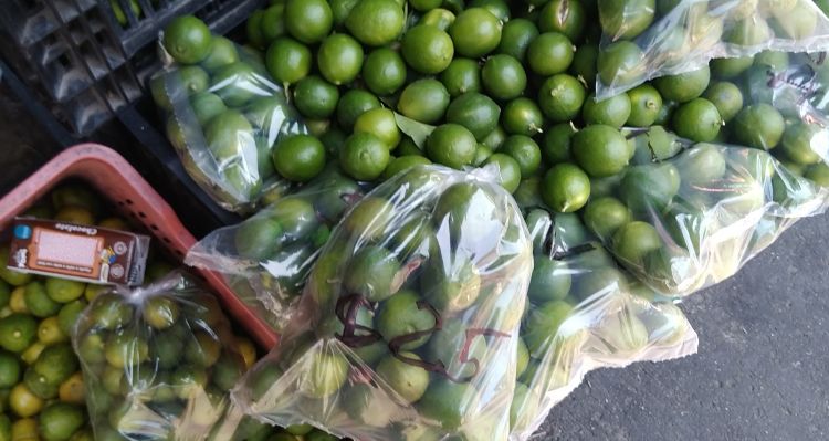 Aceite y aguacate, elevan costos a la canasta básica