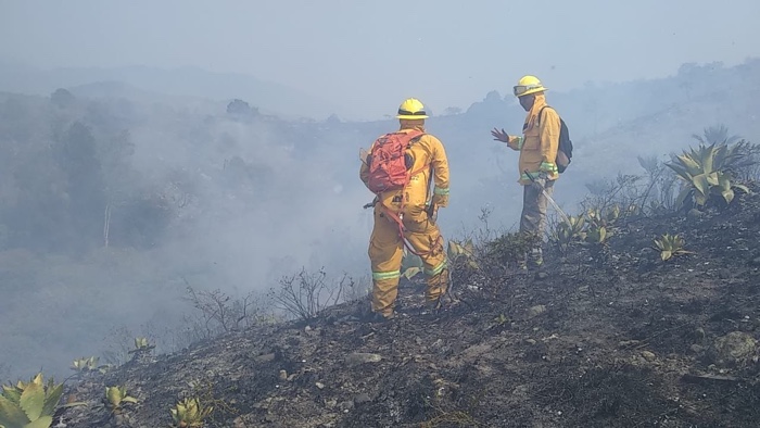 SPCGRO LLAMA A REDOBLAR ESFUERZOS EN CONTRA DE LOS INCENDIOS FORESTALES