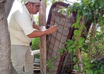 SSG se suma a la Jornada Nacional de Prevención de las Rickettsiosis