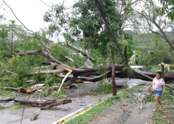 SPCGRO Atiende afectaciones por tormenta local en Ixtapa Zihuatanejo