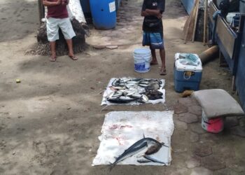 Pescadores retrocedieron a labor, por tormenta eléctrica en la mar