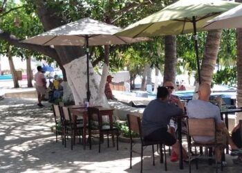 Regular el consumo en restaurantes y negocios nocturnos en Ixtapa-Zihuatanejo