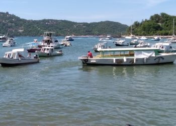Lancheros captan divisas con masiva llega de turistas en martes