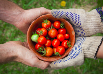 Canirac conviene con productores para hacer frente a inflación