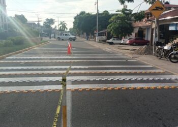 Se eliminan topes y colocan vialetas en vialidad principal de Petatlán