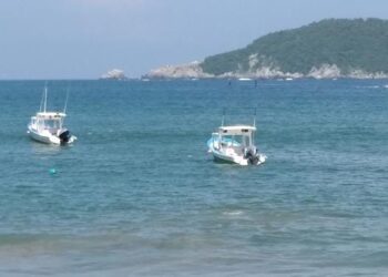 Se implementará campaña de concientización para reducir velocidad de lanchas