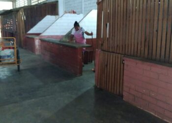 Comerciantes piden rescatar mercado de San José Ixtapa