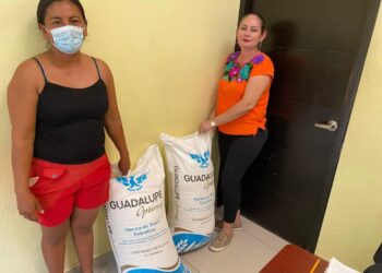 DIF La Unión entrega apoyo alimentario a ciudadanos e insumos a panaderas del municipio