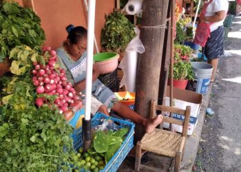 Indígenas insisten en reconocer a Zihuatanejo como pueblo originario