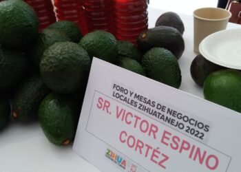 Productores de aguacate de la sierra, buscan eliminar coyotaje