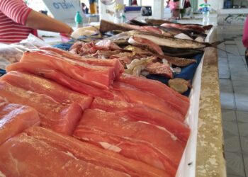 Mal tiempo e inflación, incrementan precio de mariscos