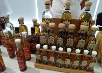 Venta de mezcal, disminuyó 20% por la pandemia