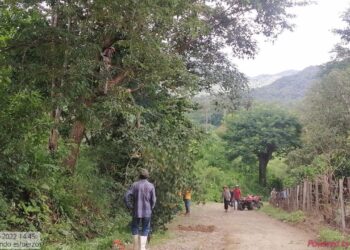 Se organizan campesinos para mantener transitables caminos de la sierra