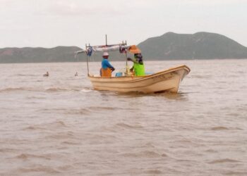 Se reduce la pesca en Zihuatanejo