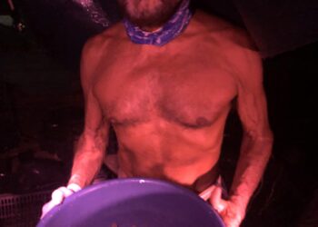 Cimbras clandestinas ponen en peligro a tortugas marinas