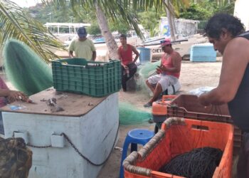 Se recupera pesca en litoral de Zihuatanejo