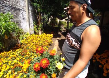 Con precio mantenido, llega flor de cempasúchil para adornar altares
