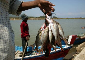 Corriente de agua fría, está ahuyentando la pesca