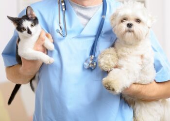 Sociedad protectora de animales, celebran reforma por clínicas veterinarias públicas