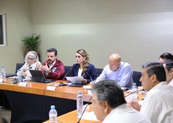 En Guerrero vivimos una transformación en materia de servicios de Salud: Evelyn Salgado