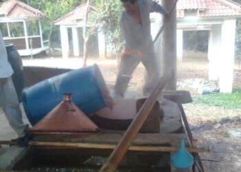 Esperan recuperar venta del mezcal en temporada alta