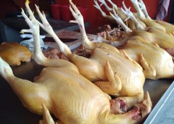 Subirá el precio del pollo en Zihuatanejo