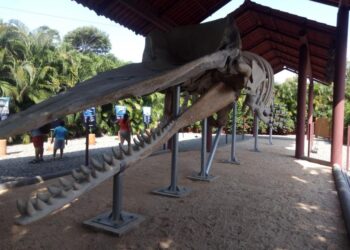 Refugio de Potosí anuncia próxima apertura