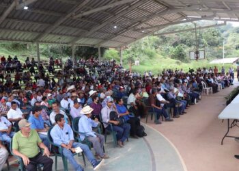 ORGANIZA CONGRESO DEL ESTADO FORO CON CAFETALEROS EN ATOYAC