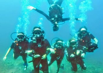 En diciembre buzos se recuperarán económicamente, con reservaciones diarias