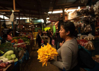 No alcanzan los sueldos para surtir la canasta básica; opinión