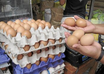 Seis productos básicos que registraron mayor aumento en 2022