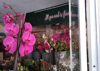 Incrementa venta de flores, pero también el precio del proveedor