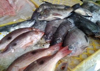 Sube precio del pescado; revendedores reportan pocas ventas