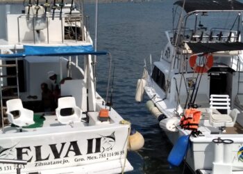 En enero se espera incremento en contratación de pesca deportiva
