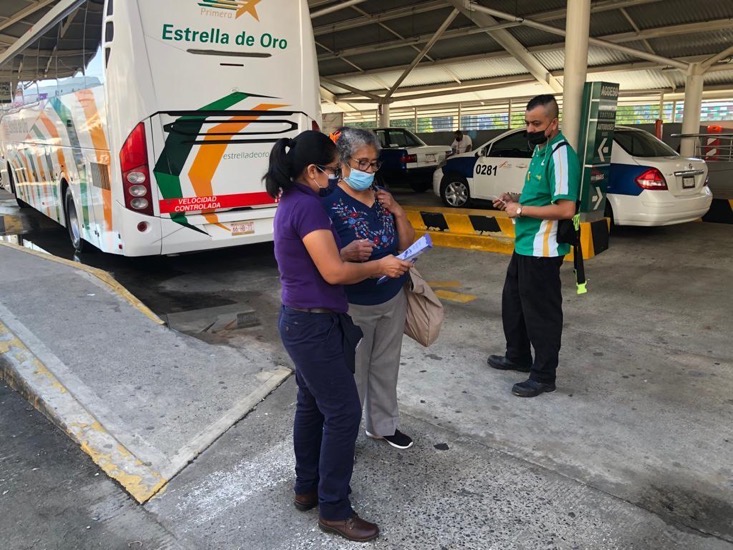 activacion-transporte-violeta-acapulco.jpg activacion-transporte-violeta-acapulco.jpg