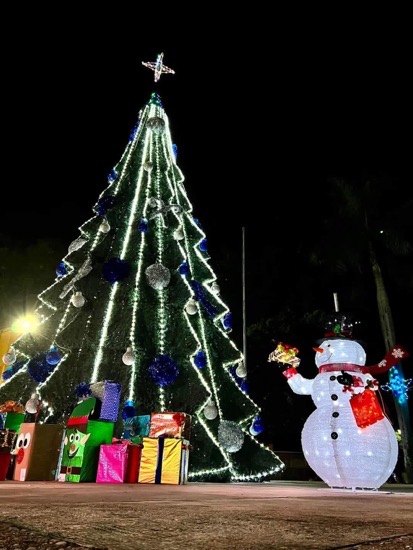 ecendido-arbol-la-union-guerrero