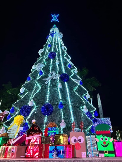 ecendido-arbol-la-union-guerrero